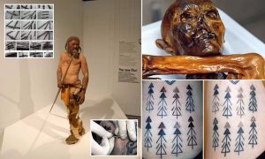 کشف راز قدیمی‌ ترین تتوی جهان روی بدن «اوتسی مرد یخی» متعلق به ۵,۳۰۰ سال پیش