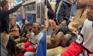 مسافری که با دو مار پیتون ترسناک سوار مترو شده است + ویدیو
