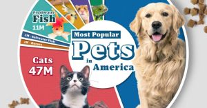 محبوب‌ترین حیوانات خانگی در ایالات متحده + اینفوگرافیک